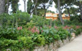 Giardino in Costa Azzurra