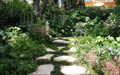 Giardino in Costa Azzurra