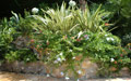 Giardino in Costa Azzurra