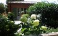 Giardino in Costa Azzurra